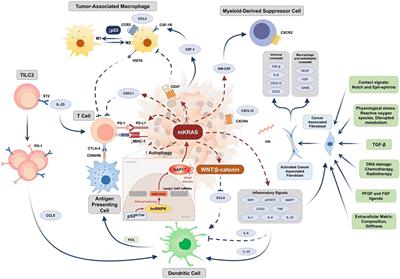 Clinical Impact of Molecular Subtyping of Pancreatic Cancer